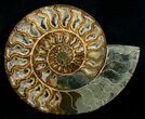 / Inch Split Ammonite Pair - Crystal Pockets #5215-2